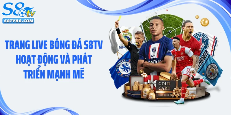 Trang live bóng đá S8TV hoạt động và phát triển mạnh mẽ