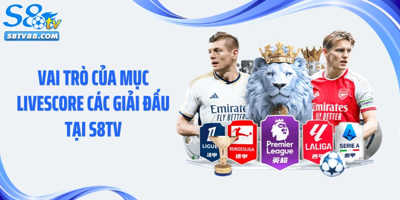 Vai trò của mục livescore các giải đấu tại S8TV